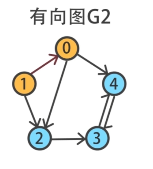 有向图